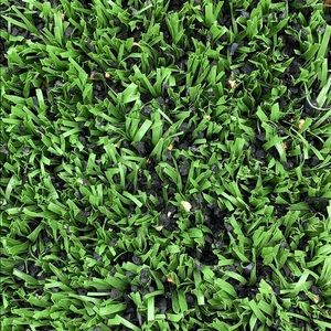 Meet your Posher, Dennis